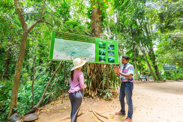 Nature Tour to Udawatte Kele Sanctuary, Kandy from Bentota - Photo 1 of 6